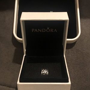 Pandora charm
